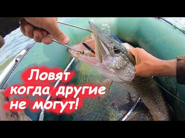 ОФИГЕТЬ КАК ЭТИ ПРИМАНКИ ЛОВЯТ щуку! Рыбалка на спиннинг, раттлины и бл. 2022