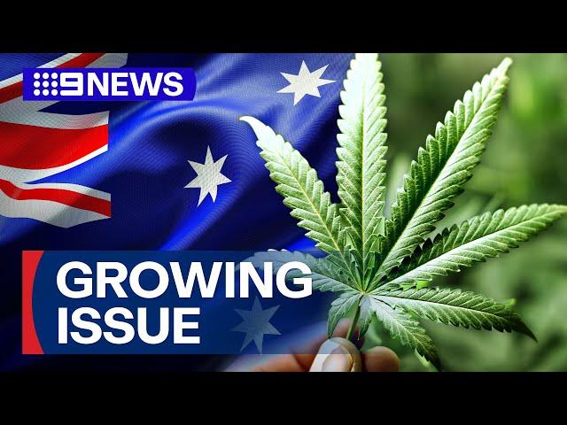 Data reveals just how much Aussies will spend on medical cannabis this year | 9 News Australia