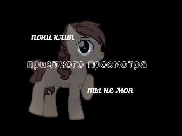 |пони клип| ты не моя •не канон/шип•