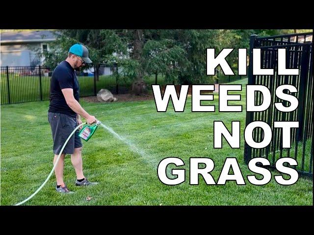 Kill weeds not grass. Creeping Charlie, crabgrass and clover. Summer weed control made easy.