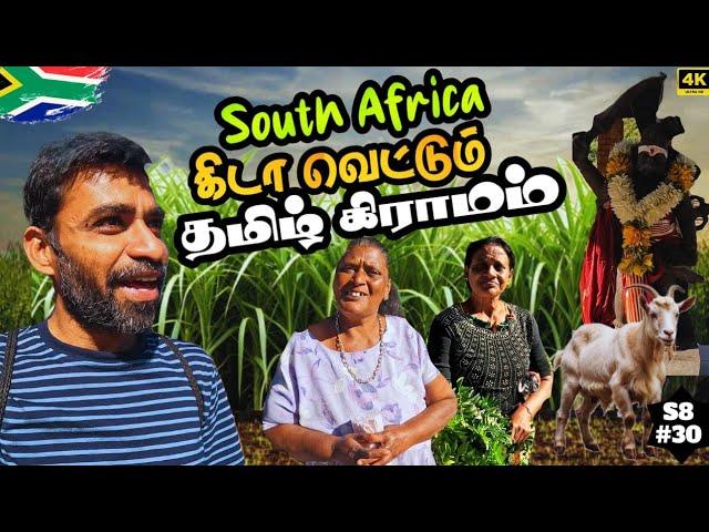 போராடி தமிழர் கிராமத்த பாத்தாச்சு️ |  South Africa EP10