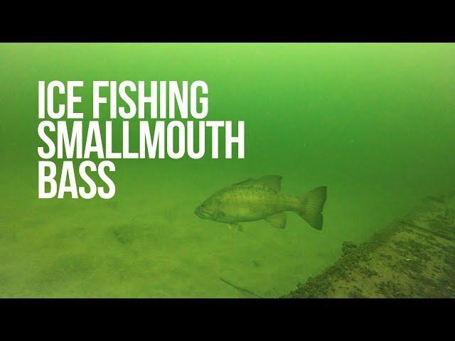 Ice Fishing for GIANT Smallmouth Bass! Top Tactics and Tricks - Salmo Chubby Darter