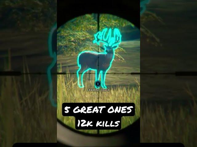 5 GREAT ONE KILL SHOTS IN THE HUNTER CALL OF THE WILD! 12K WHITETAIL KILLS OF GRINDING!