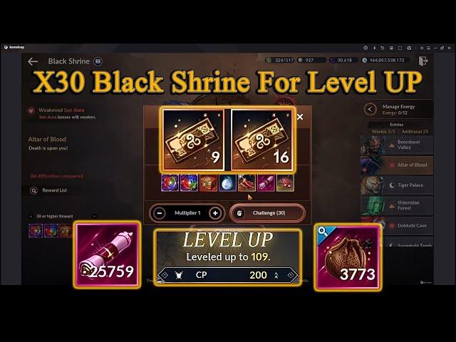 Black Desert Mobile | X30 Black Shrine Just For Level UP