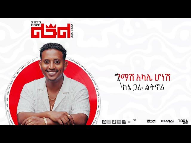 Leul Sisay - የኔ አመል _Yene Amel  Track 02 (Official Audio)