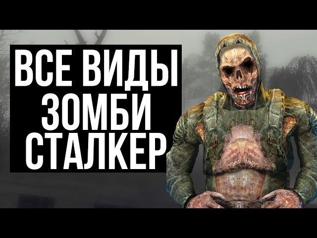 ВСЕ ВИДЫ ЗОМБИ В СТАЛКЕРЕ