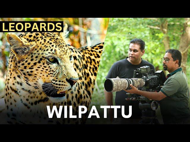 Filming LEOPARDS at WILPATTU | SRI LANKA