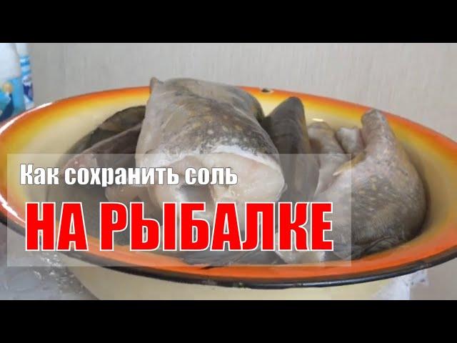 Как сохранить соль на рыбалке