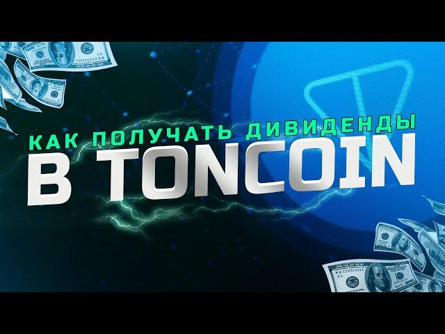 Как получать дивиденды в TON COIN? Пассивный доход в крипте.