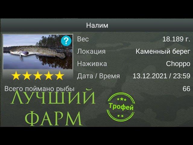 | My Fishing World | ФАРМ для подписчиков | Налим |