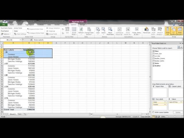 Multiple Row Filters in Pivot Tables