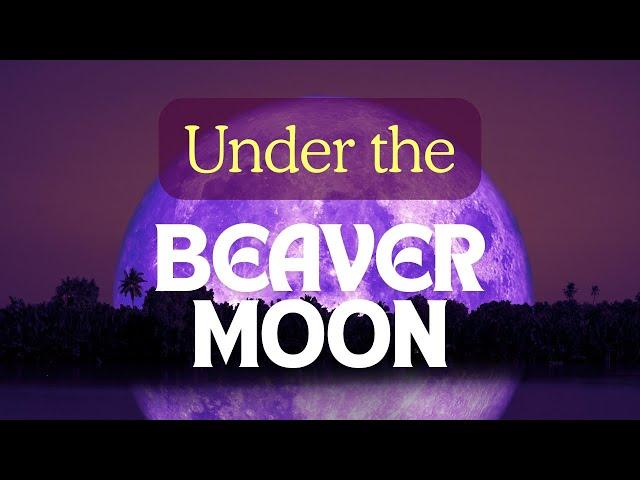 Under the Beaver Moon | Mystical Full Moon Song