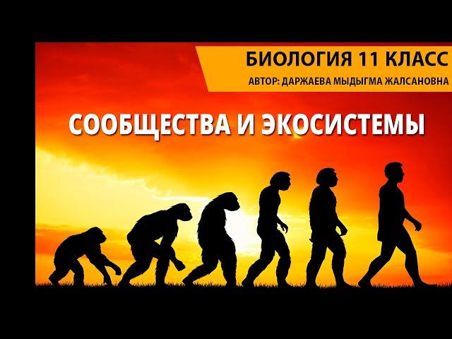 Сообщества и экосистемы