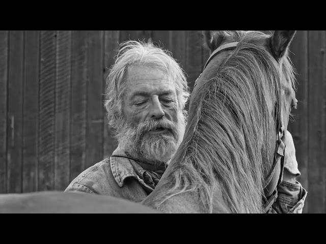 The Divide || Full Mystery Movie || Full English Movie HD