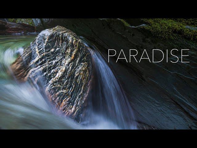 The HIDDEN World Beneath The Mountains | New Zealand Landscape Photography