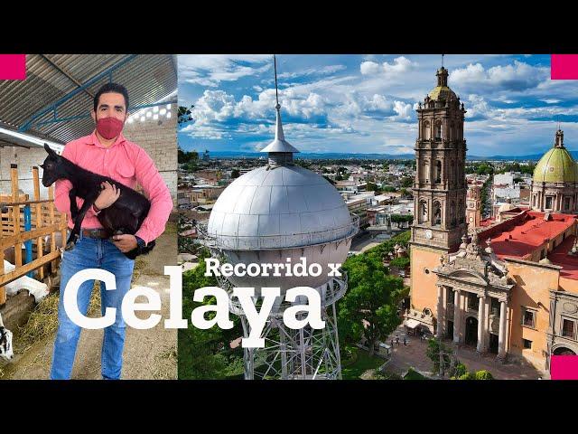 Qué hacer en Celaya Guanajauto, la ruta de la cajeta en la puerta de oro del Bajío.