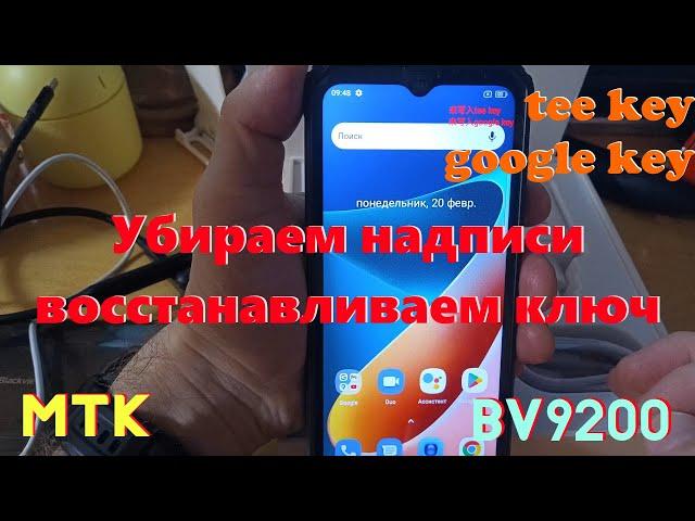 Восстановление Tee key и Google Key в смартфоне BV9200 (можно по аналогии и в других)