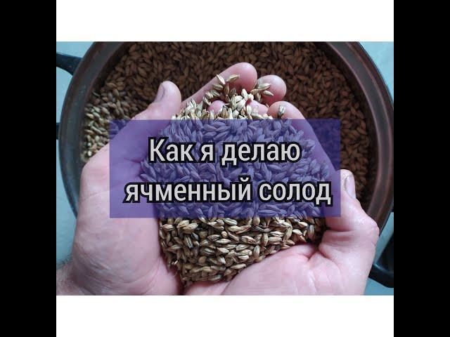 Как я делаю ячменный солод