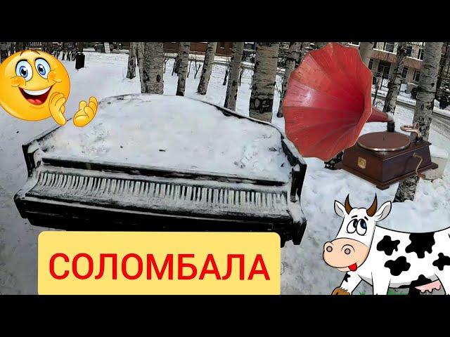 СОЛОМБАЛА АРТ. Дед Мамон. Архангельск. Работа в такси.