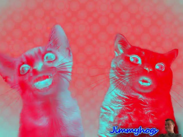 Preview 2 Numa Cat Effects 5