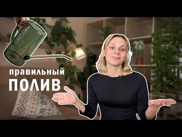 Как поливать растения ПРАВИЛЬНО? Как понять, что цветок пора полить? Рассказываю все о поливе