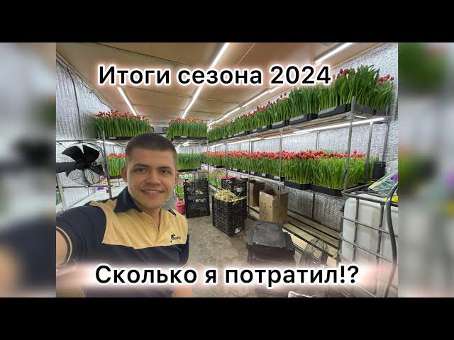 Сколько я потратил на тюльпаны!?!? /// ИТОГИ СЕЗОНА 2024