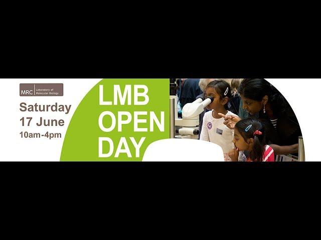 MRC Laboratory of Molecular Biology Open Day 2017