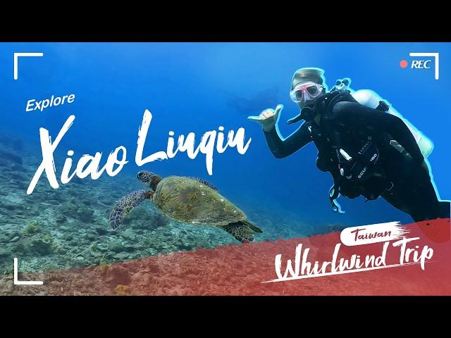 Sun, Sea, Sand, Sea Turtles, 𝐗𝐢𝐚𝐨 𝐋𝐢𝐮𝐪𝐢𝐮! (#小琉球) ️｜Whirlwind Trip