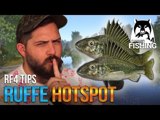 My SECRET Ruffe Fishing Hotspot Location at Mosquito Lake! $$ | Russian Fishing 4