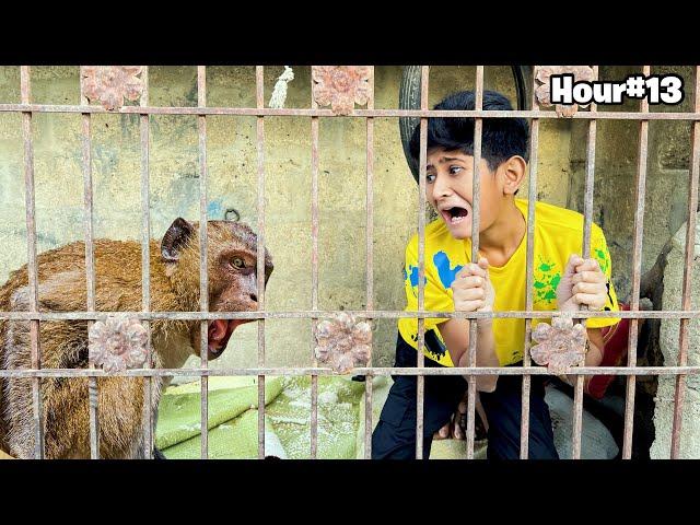 Surviving 24 Hours in Monkey Cage!