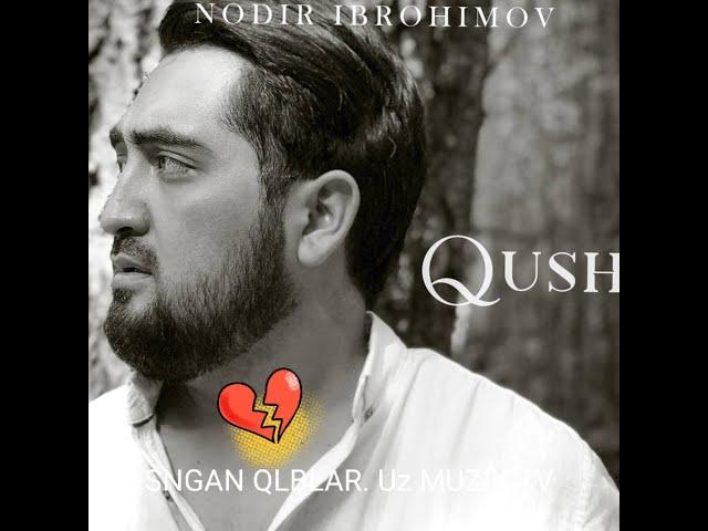 Nodir Ibrohimov : Qushim (Daydi qizning daftari Soundtrack) SNGAN QLBLAR. Uz MUZIK TV