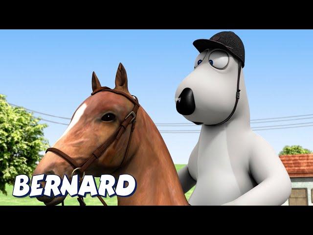 Bernard Bear | Dressage AND MORE | Cartoons for Children | Full Episodes