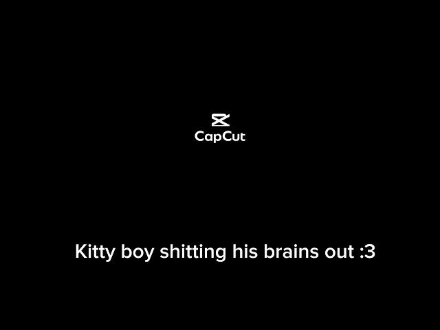 Kitty Boy -Gacha Fart / Gacha scat