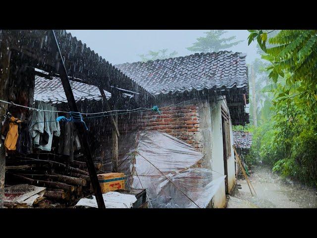 12 Hours of Heavy Rain & Thunder Sounds for Deep Sleep, Relaxation & Stress Reduction | Rain Village