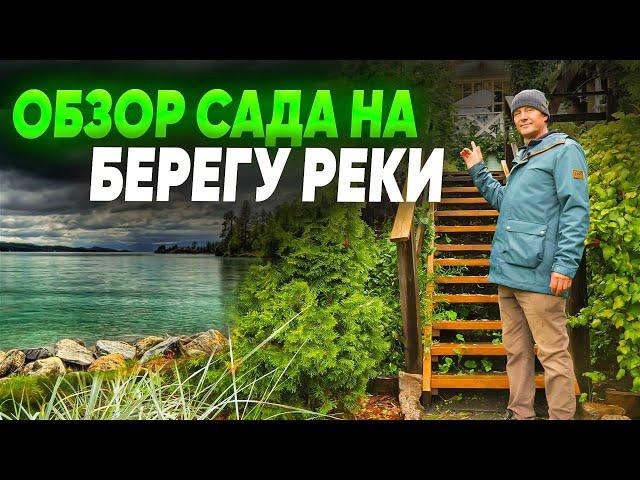 Обзор сада на берегу реки. Ландшафтный дизайн участка на 12 сотках.