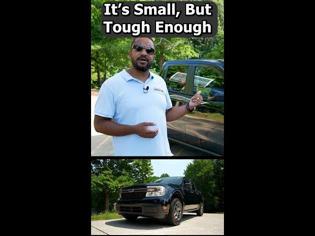 It's Small, But Tough Enough