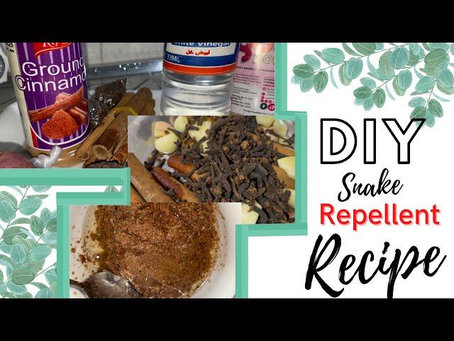 DIY- HOMEMADE NATURAL SNAKE REPELLENT RECIPE  - Snake in Toilet - Snake Prevention #SnakeinToilet