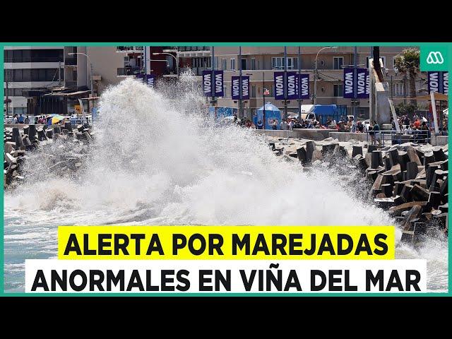 Videos muestran anormales marejadas en Viña del Mar: ¿En qué sectores tendrán mayor intensidad?