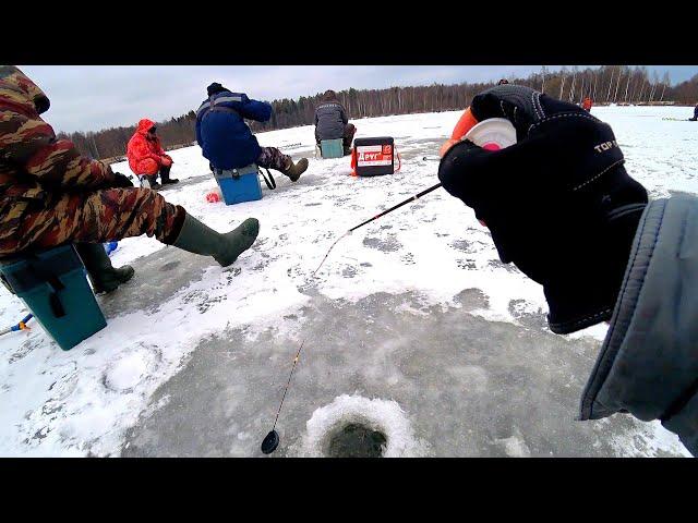 Обловил всех на водоёме! Игра мормышки РЕШАЕТ, когда рыба капризна! Зимняя рыбалка 2020-2021!