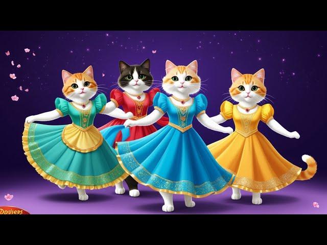 Funny cat videos ;Cat funny dancing