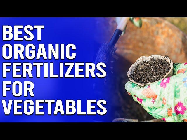 Best Organic Fertilizers For Vegetables - Your Comprehensive Guide (Our Preferred Selections)