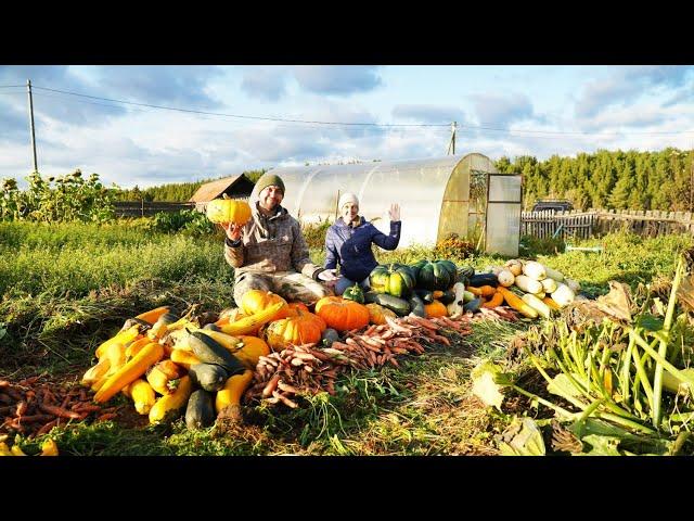 НАШ УРОЖАЙ НА ЗАИМКЕ 2024 | ОБНОВКИ НА КУХНЕ | ПАРИМСЯ В НОВОЙ БАНЕ | ДОМАШНИЕ ДЫНИ | СВЕЖЕЕ МЯСО