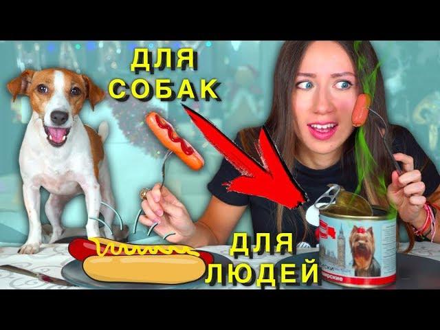 Собачья Еда ПРОТИВ Настоящей Челлендж ч 2 Не Обычная Еда | Elli Di Pets