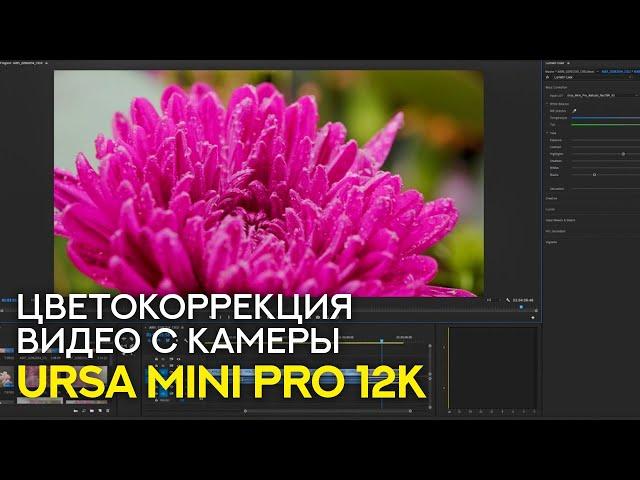 Цветокоррекция в Premier Pro видео, снятых на URSA Mini Pro 12K - Уроки видеомонтажа