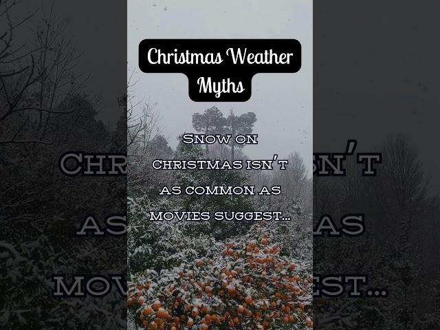 Christmas Weather Myths #christmas #christmastree #holiday #santa #christmasshorts #holidayshorts