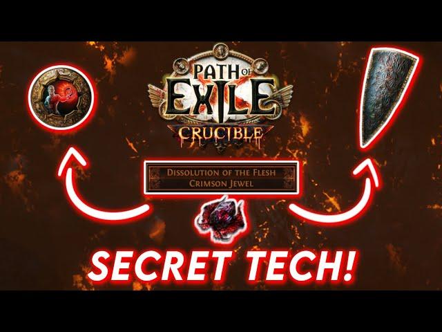 This Jewel Has A HIDDEN INTERACTION | Path of Exile