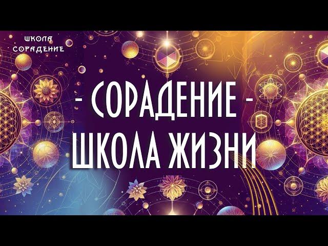 Школа жизни #сорадение  #работа_со_вниманием #книги_для_новичков #школа_сорадение