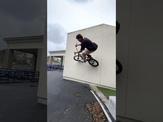  #bmx #chillsnotskills #sketchy #california #reels #shorts