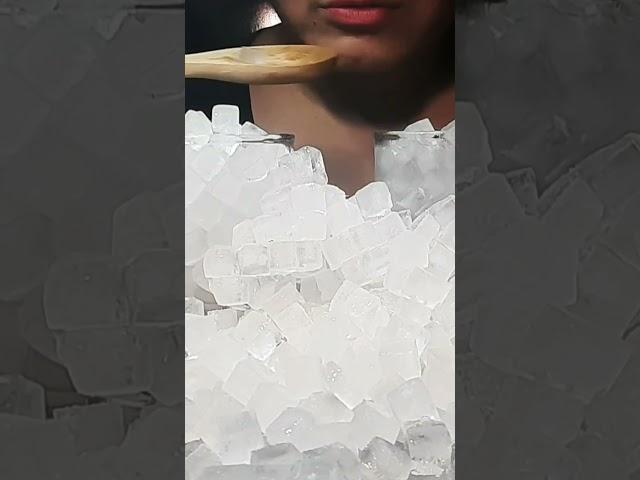 Ice eating ASMR | Ice mukbang |satisfying #satisfyingvideo #satisfying #asmr #viralvideo #iceeating