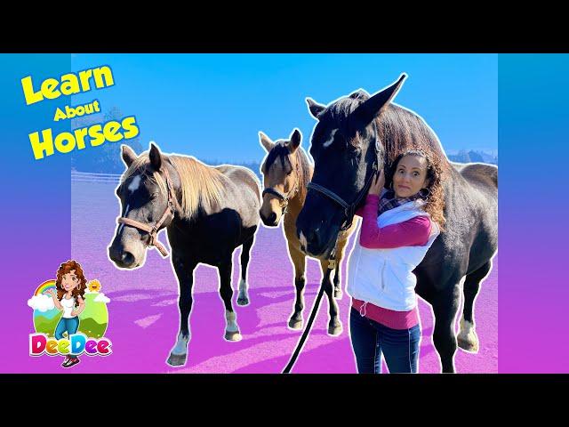 Learn About Horses | Animals for Kids | Educational Videos